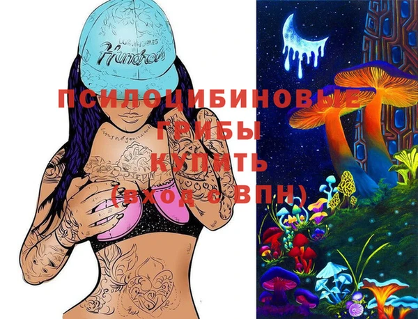 спиды Алзамай