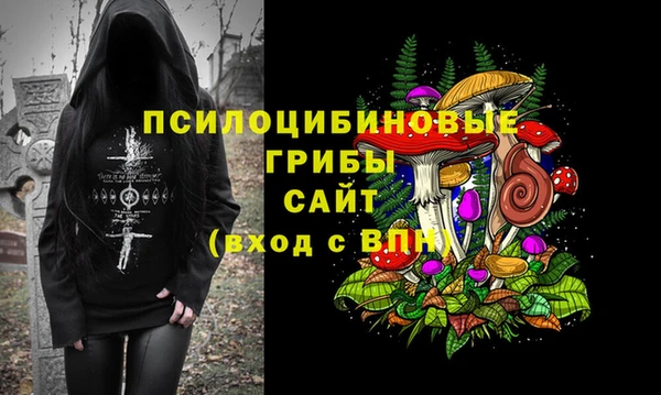 МДПВ Алексин