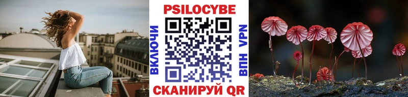 Галлюциногенные грибы Psilocybe  Ишим 