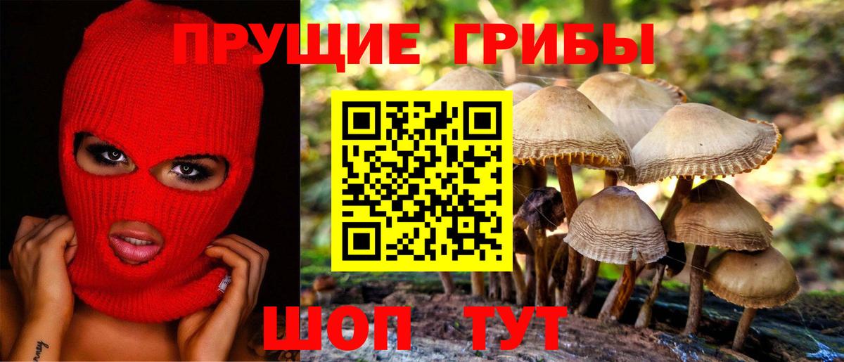 Ишим  Псилоцибиновые грибы мицелий  Вход с VPN 